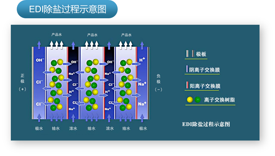 電去離子裝置(EDI)